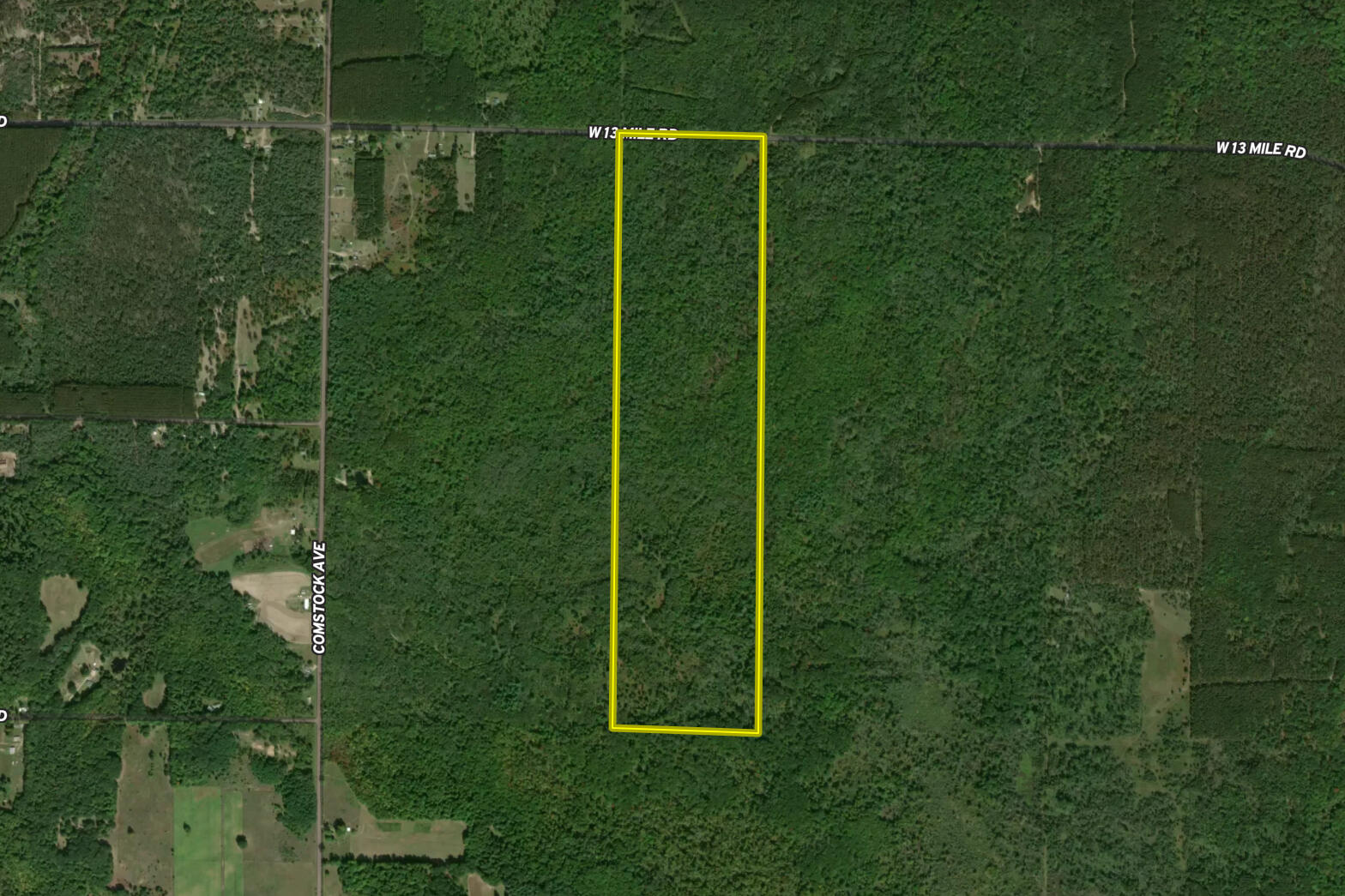 13 West 13 Mile Road, Unit PAR C Bitely, MI 49309 - Photo 11 of 13 Aerial 1