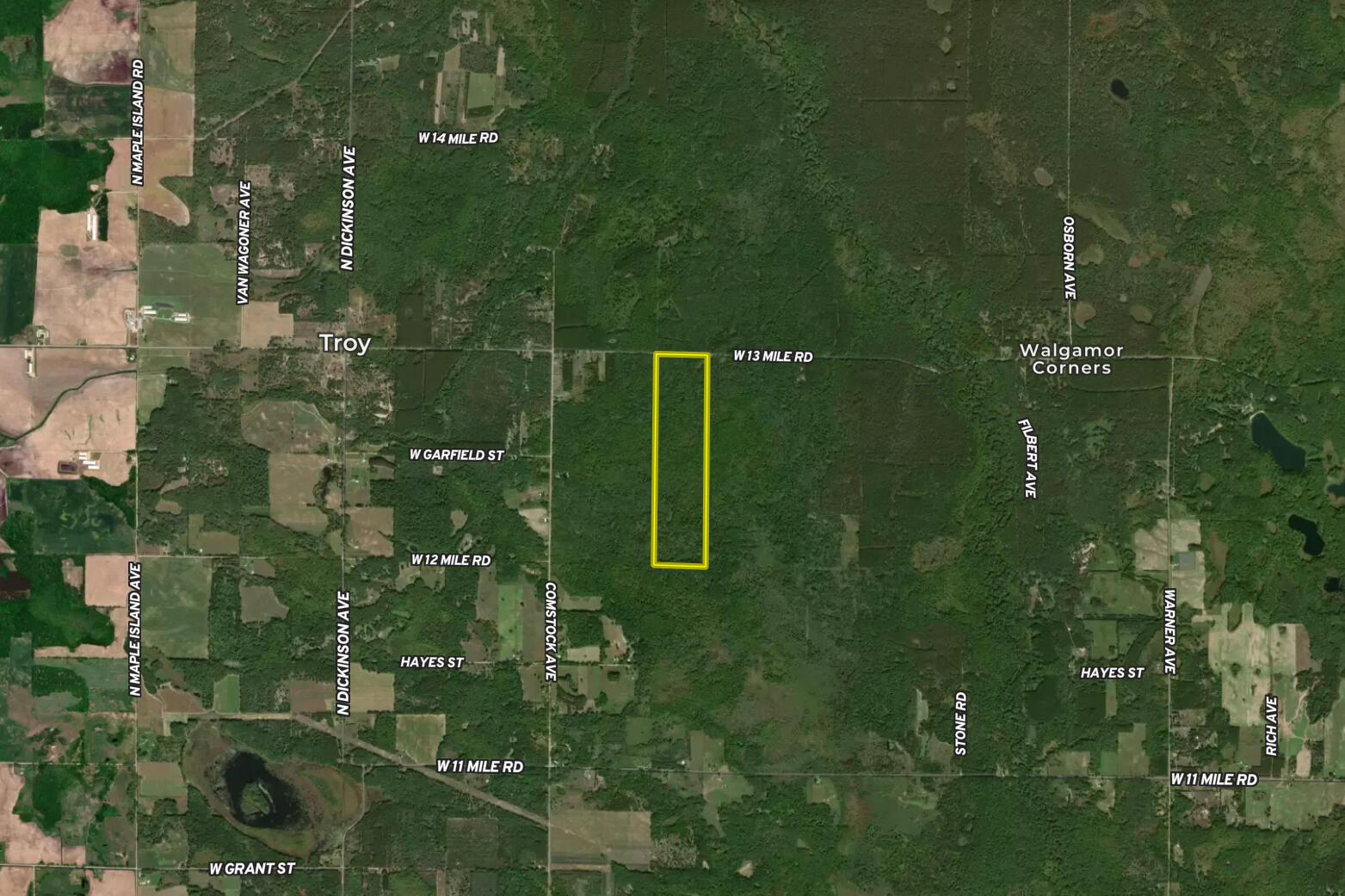 13 West 13 Mile Road, Unit PAR C Bitely, MI 49309 - Photo 12 of 13 Aerial 2