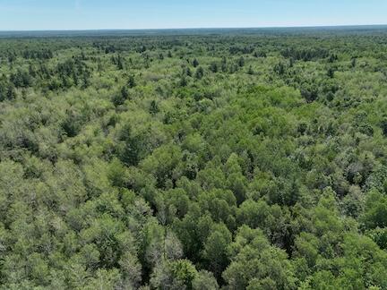 13 West 13 Mile Road, Unit PAR C Bitely, MI 49309 - Photo 2 of 13 2