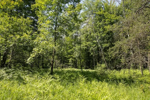 $496,000 | 13 West 13 Mile Road, Unit PAR C, Bitely, MI 49309