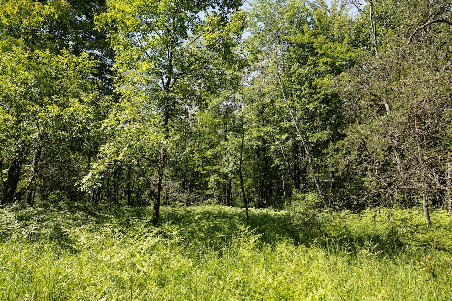 13 West 13 Mile Road, Unit PAR C Bitely, MI 49309 - Photo 3 of 13 3