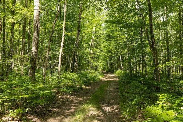 $496,000 | 13 West 13 Mile Road, Unit PAR C, Bitely, MI 49309