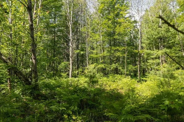 $496,000 | 13 West 13 Mile Road, Unit PAR C, Bitely, MI 49309