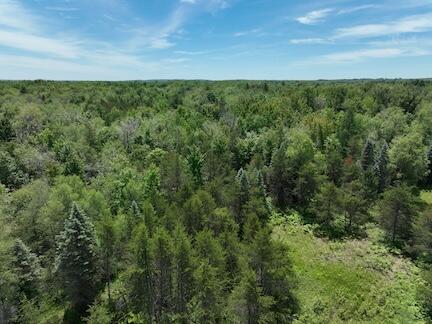 13 West 13 Mile Road, Unit PAR C Bitely, MI 49309 - Photo 8 of 13 8