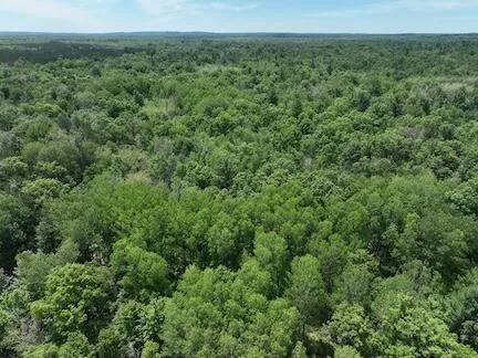 $496,000 | 13 West 13 Mile Road, Unit PAR C, Bitely, MI 49309