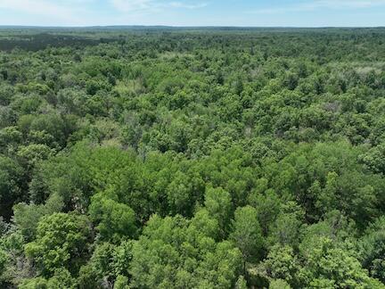 13 West 13 Mile Road, Unit PAR C Bitely, MI 49309 - Photo 9 of 13 9