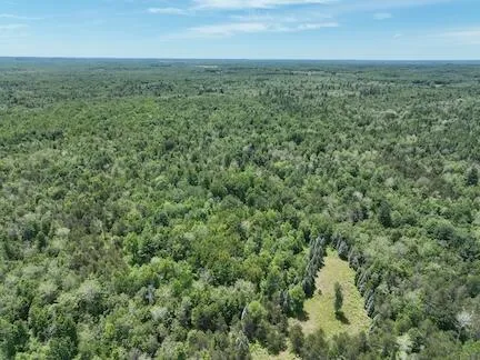 $496,000 | 13 West 13 Mile Road, Unit PAR C, Bitely, MI 49309