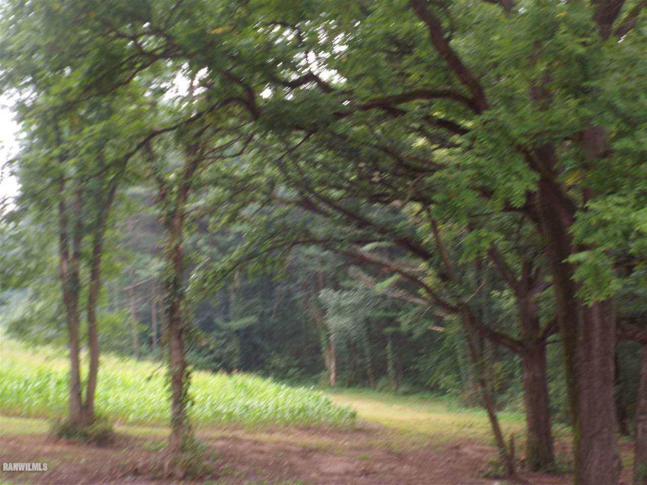 10307 East Meyer Road Stockton, IL 61085 - Photo 13 of 16 Gallery Image 13