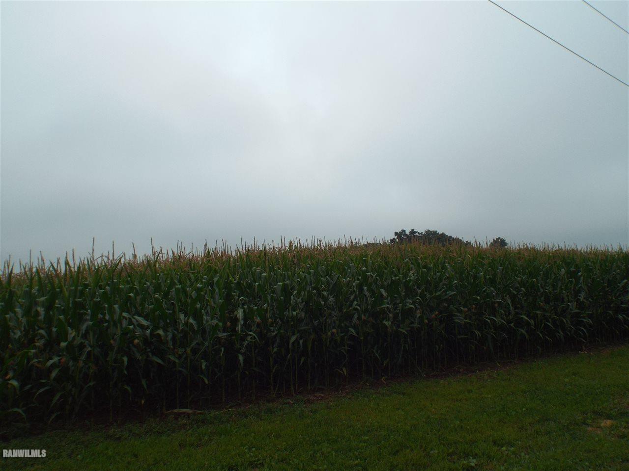 10307 East Meyer Road Stockton, IL 61085 - Photo 16 of 16 Gallery Image 16