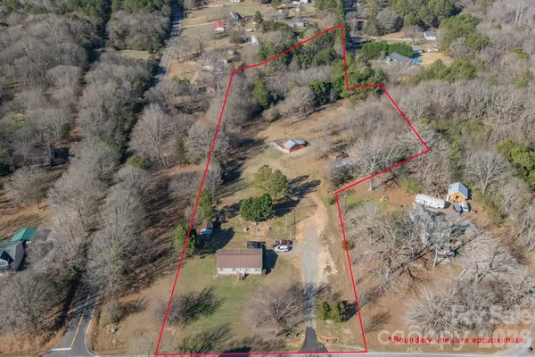 a view of road with large trees