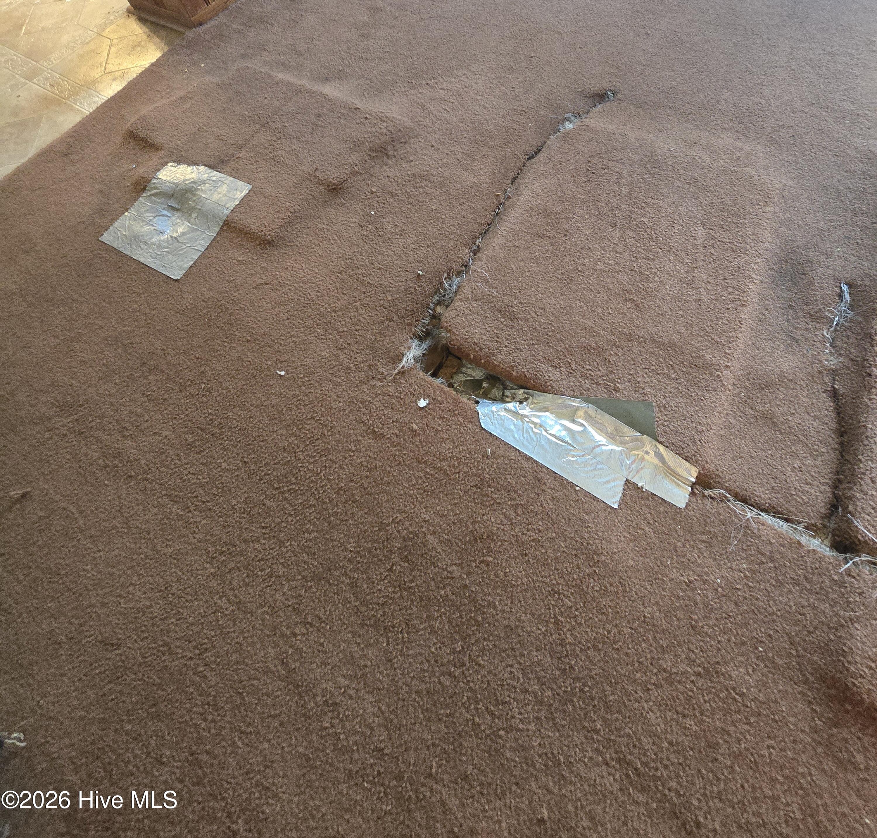 1587 Salem Church Road Elizabeth City, NC 27909 - Photo 7 of 14 Den flooring