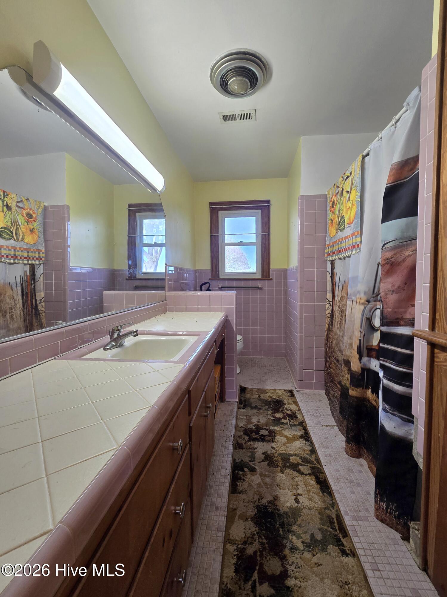 1587 Salem Church Road Elizabeth City, NC 27909 - Photo 10 of 14 Hall Bathroom