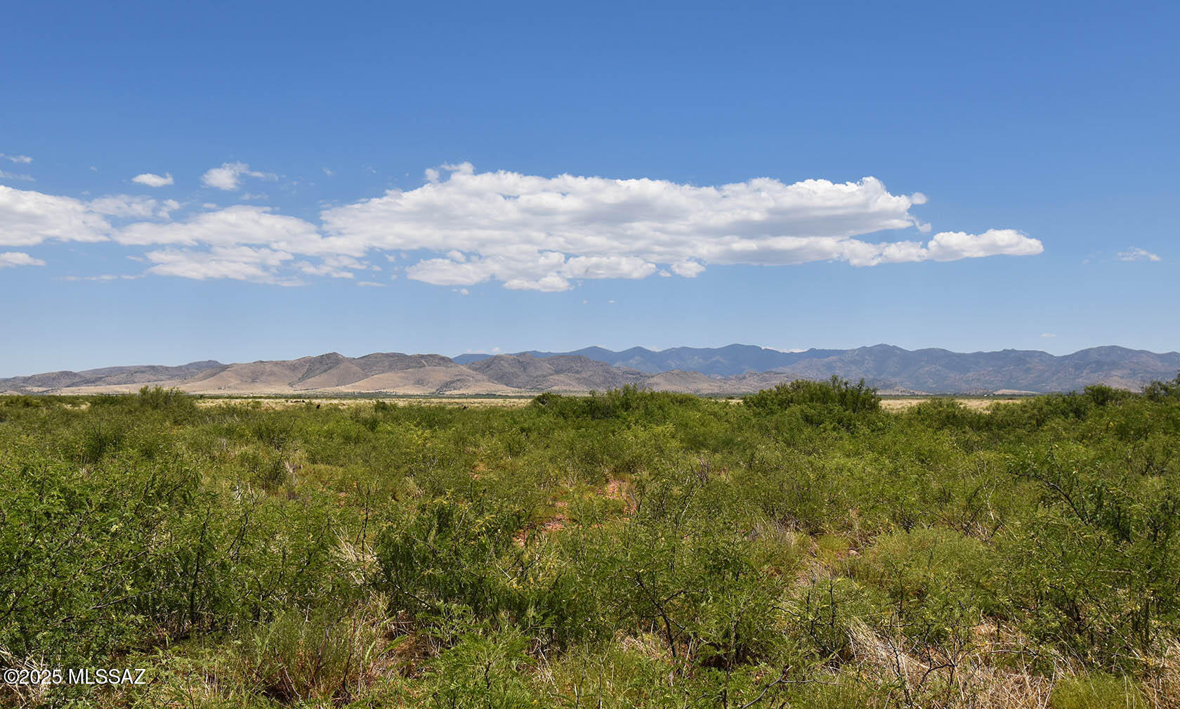 60-ac South Cross Creek Road, Unit 4 Pearce, AZ 85625 - Photo 16 of 39 View East