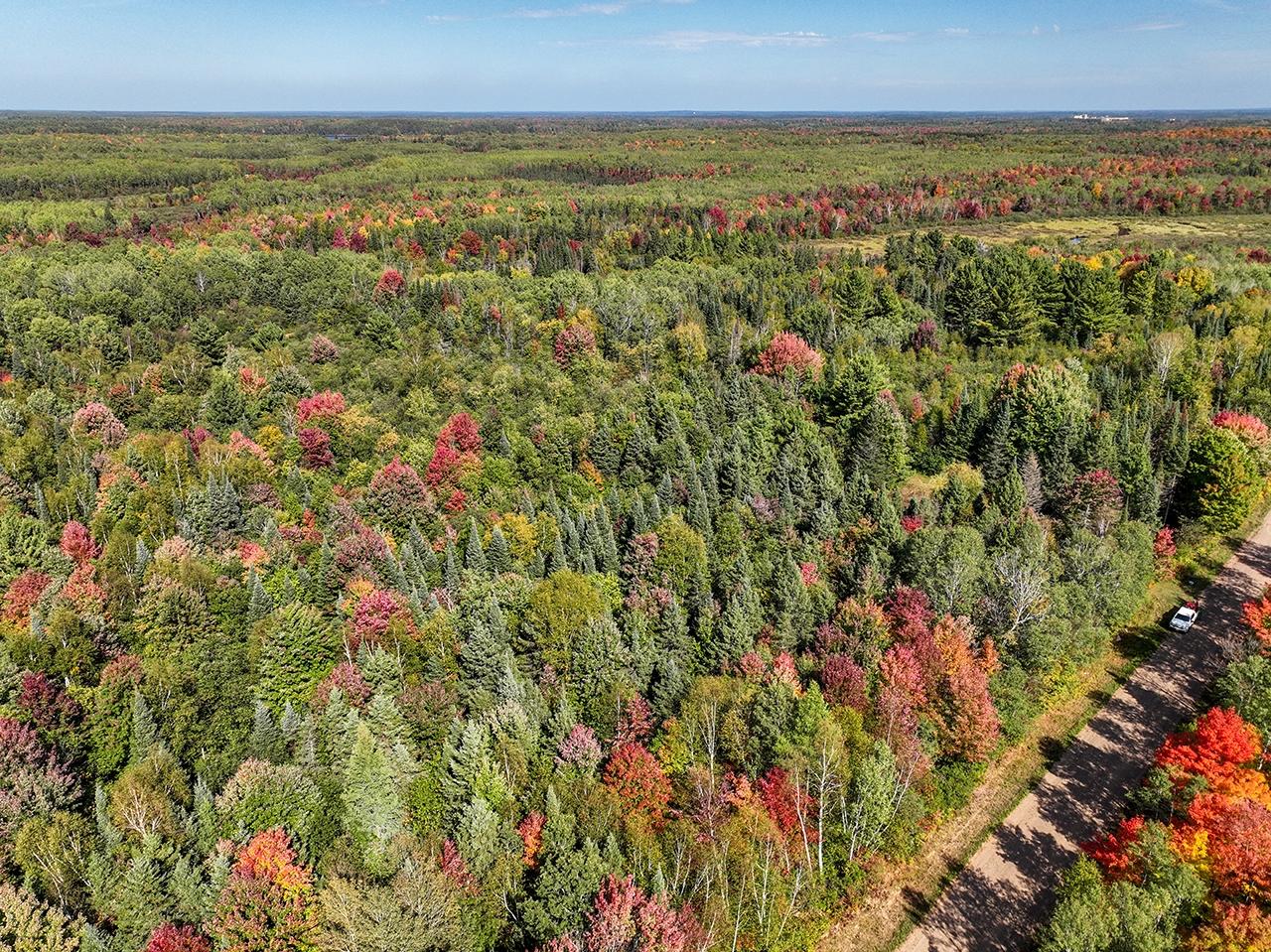 Off Coffee Creek Road Tomahawk, WI 54487 - Photo 23 of 50 Gallery Image 23