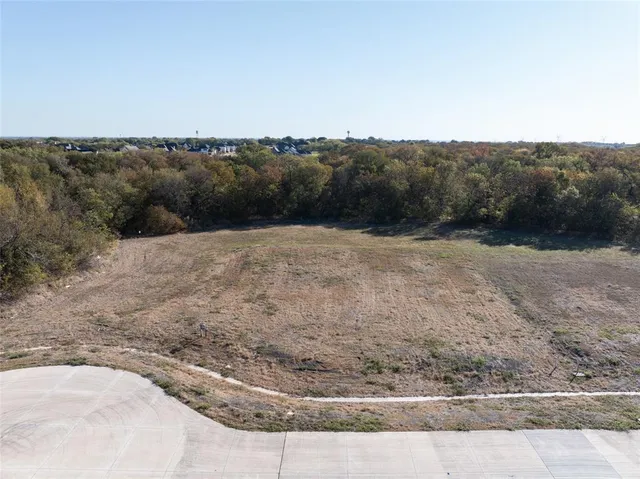 a view of a dry yard