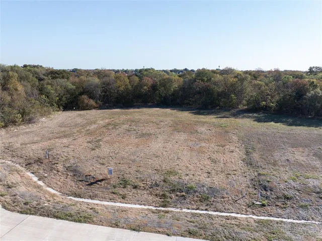 a view of a dry yard with trees