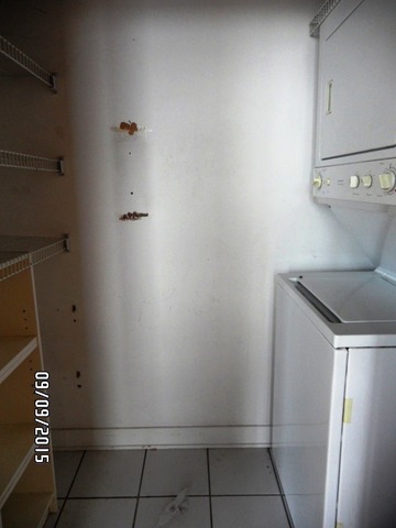 811 West 15th Place, Unit 811 Chicago, IL 60608 - Photo 12 of 24