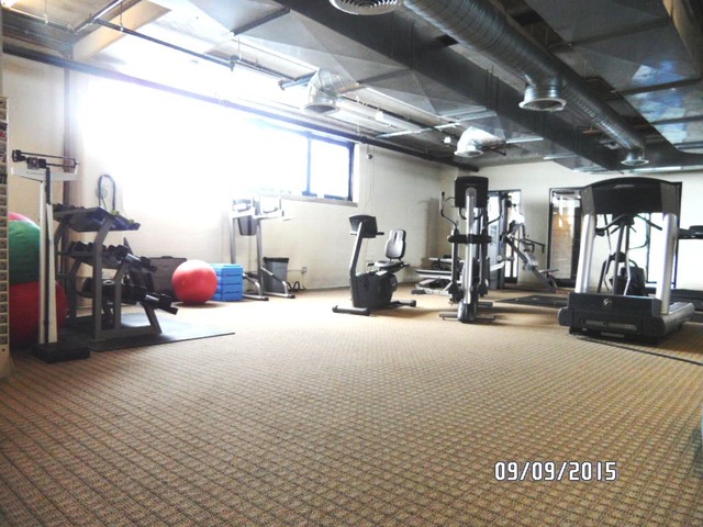 811 West 15th Place, Unit 811 Chicago, IL 60608 - Photo 15 of 24
