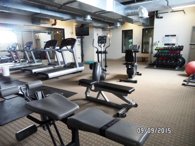 811 West 15th Place, Unit 811 Chicago, IL 60608 - Photo 17 of 24