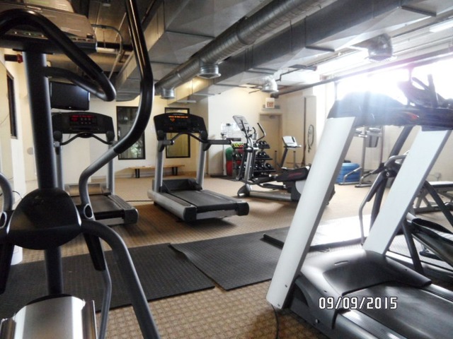 811 West 15th Place, Unit 811 Chicago, IL 60608 - Photo 18 of 24