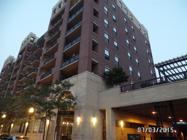 811 West 15th Place, Unit 811 Chicago, IL 60608 - Photo 3 of 24