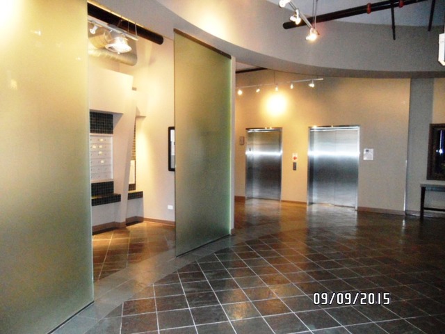 811 West 15th Place, Unit 811 Chicago, IL 60608 - Photo 21 of 24
