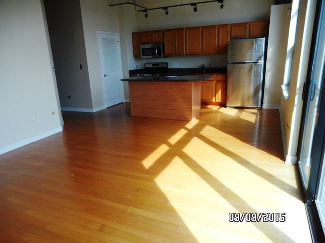 811 West 15th Place, Unit 811 Chicago, IL 60608 - Photo 6 of 24
