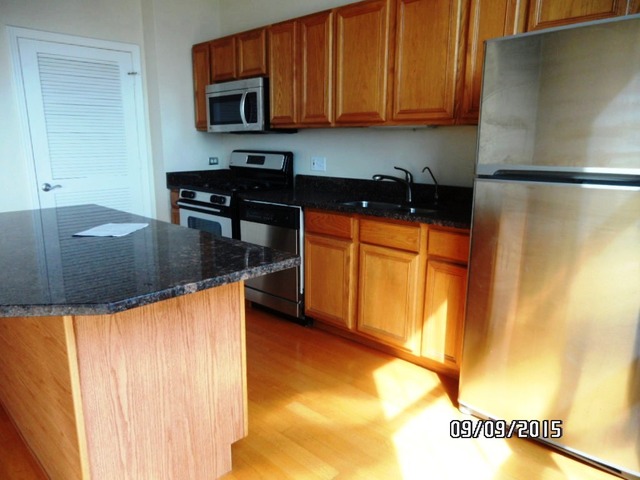 811 West 15th Place, Unit 811 Chicago, IL 60608 - Photo 8 of 24