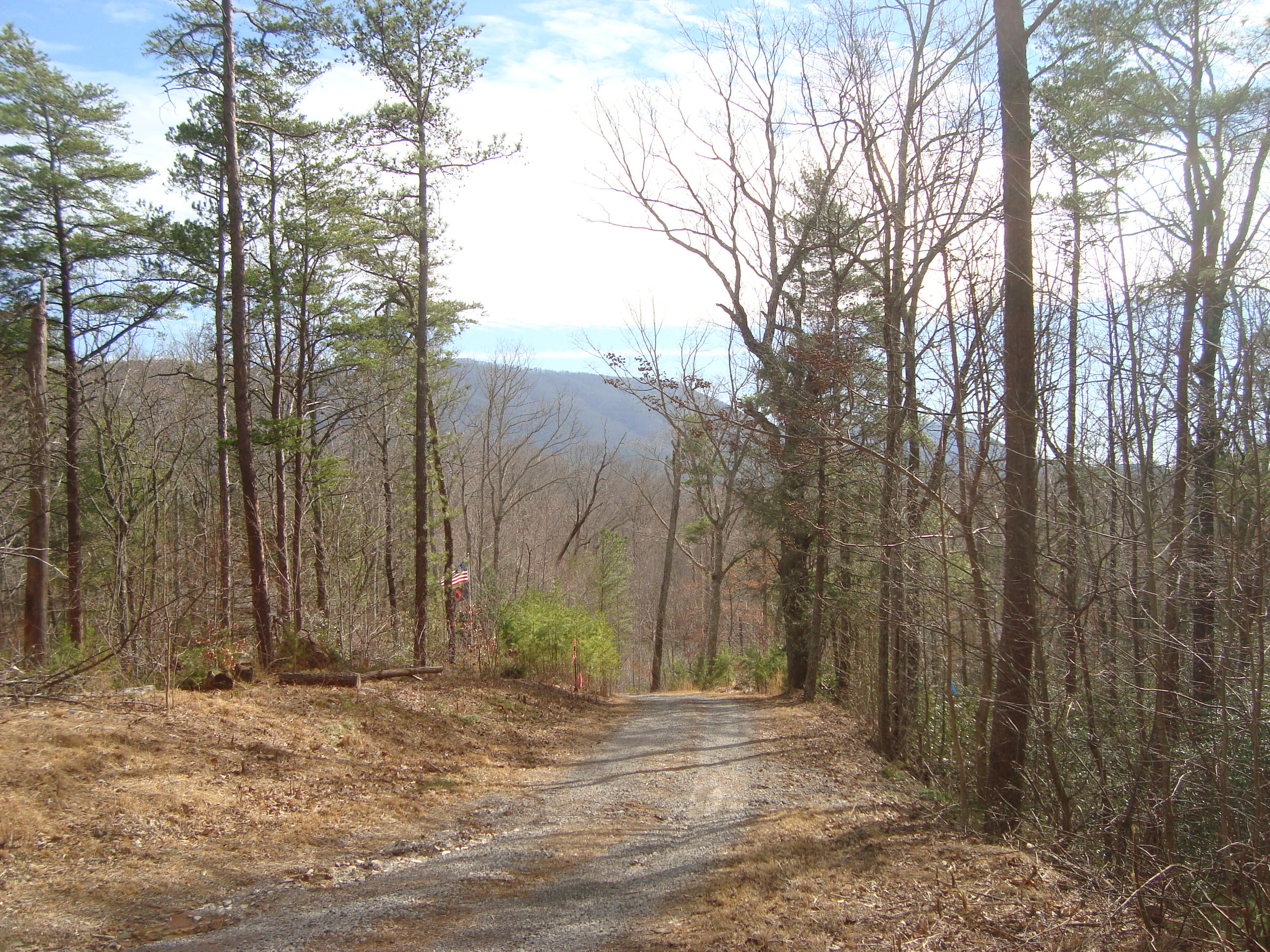 Off Smithfield Road, Unit 10 11 1 Tellico Plains, TN 37385 - Photo 1 of 2 Lots 10,11,13 -#1