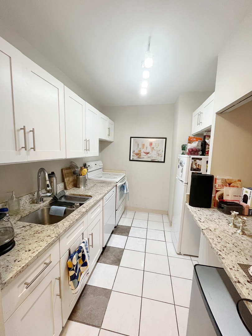 535 North Michigan Avenue, Unit 1403 Chicago, IL 60611 - Photo 3 of 6