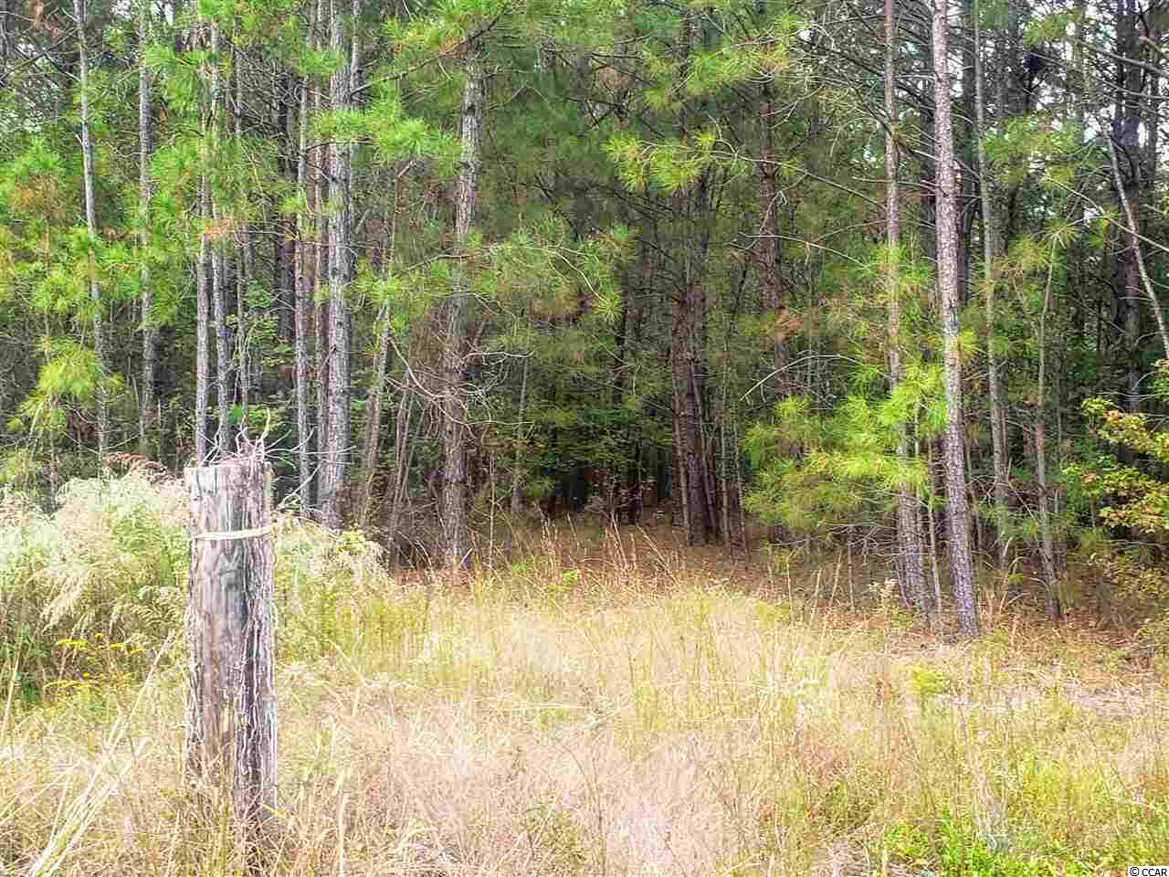 Tbd Senator Gasque Road Mullins, SC 29574 - Photo 1 of 4 Gallery Image 1