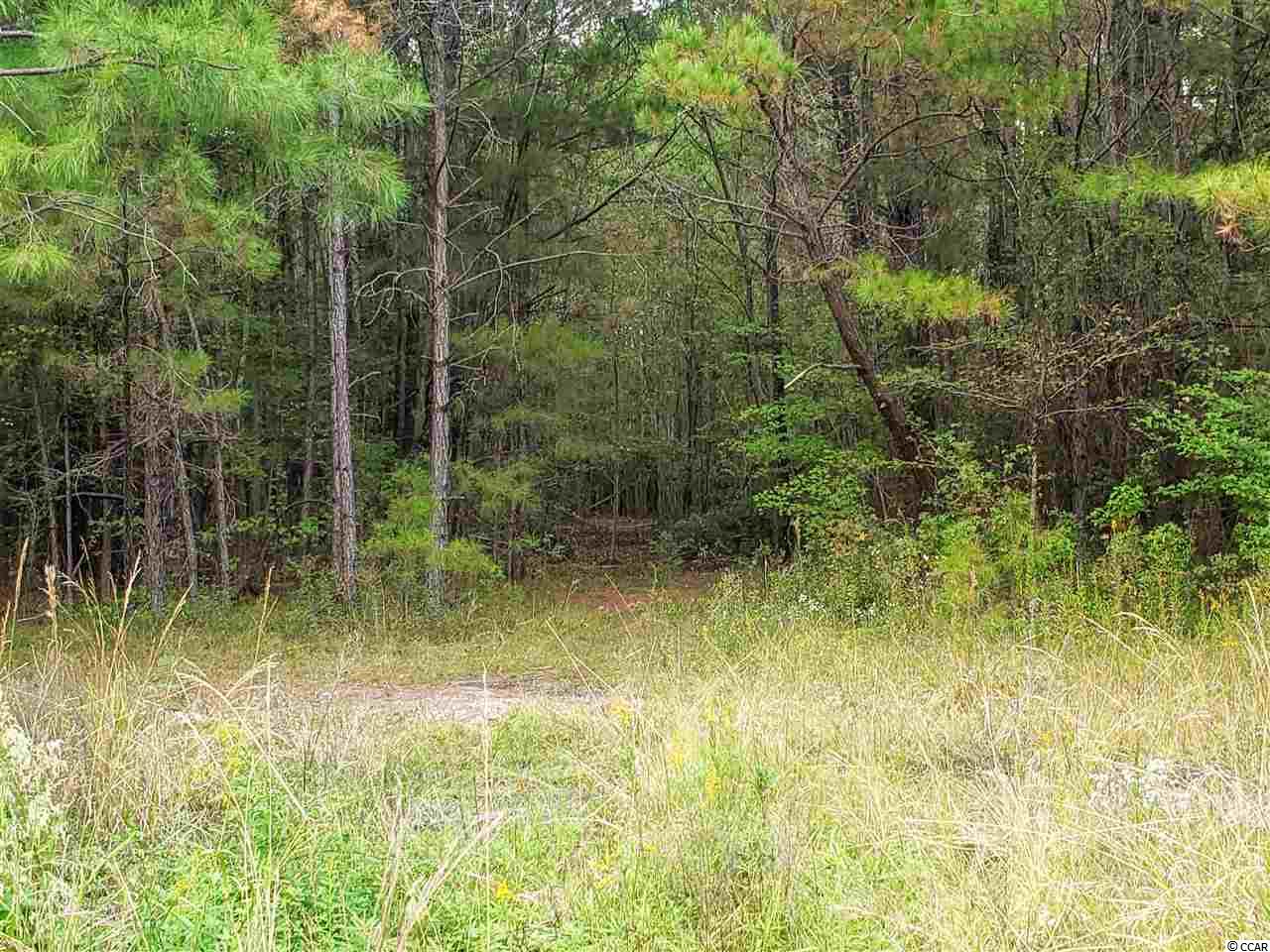 Tbd Senator Gasque Road Mullins, SC 29574 - Photo 3 of 4 Gallery Image 3