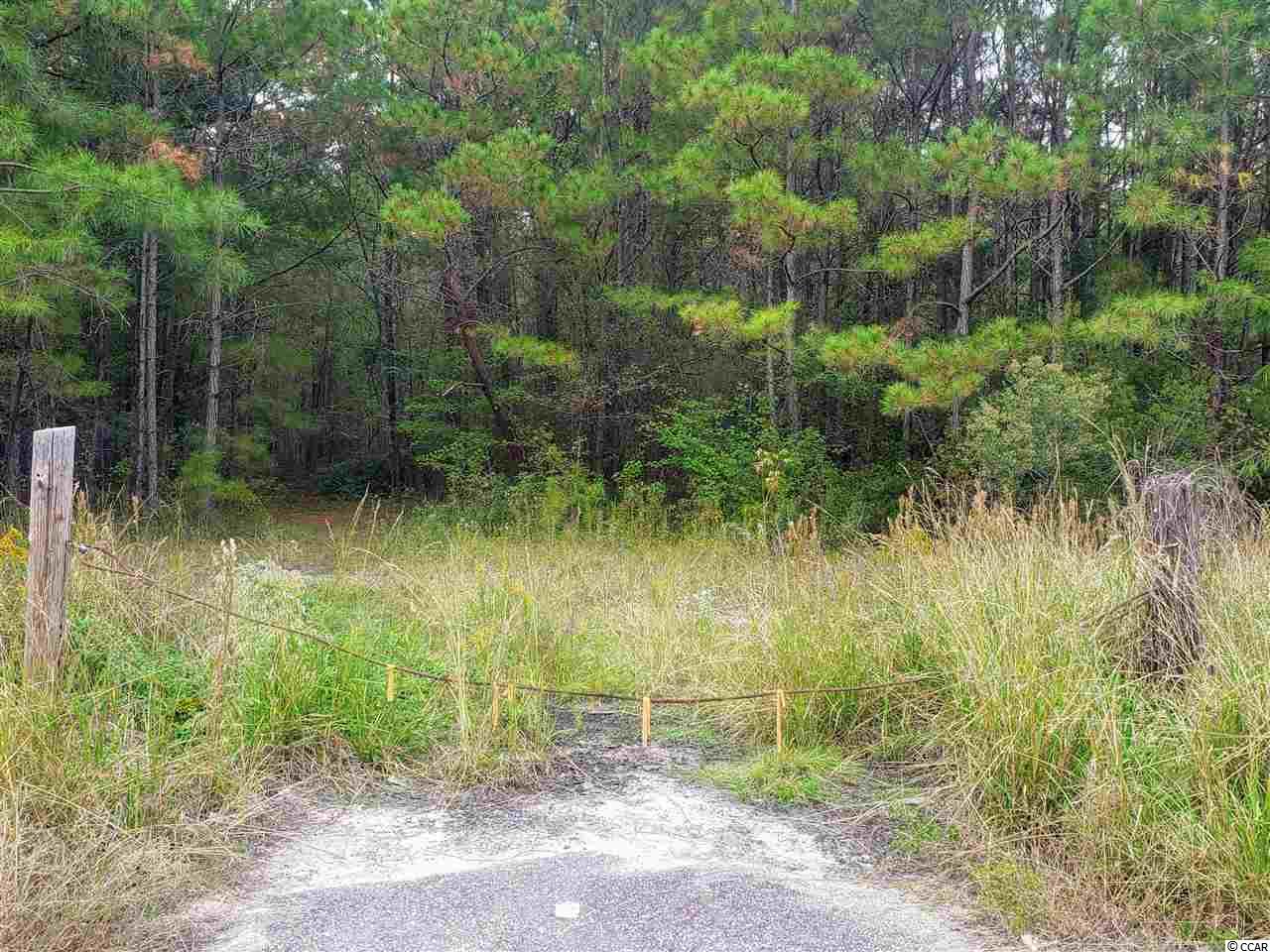 Tbd Senator Gasque Road Mullins, SC 29574 - Photo 4 of 4 Gallery Image 4