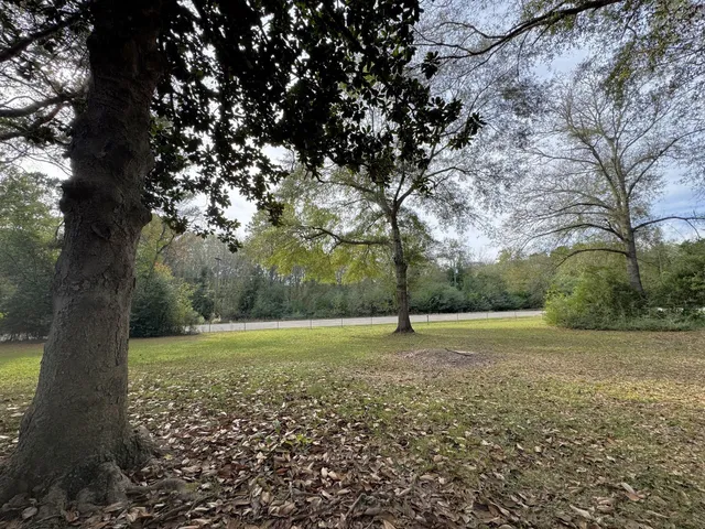 a view of a field with a tree