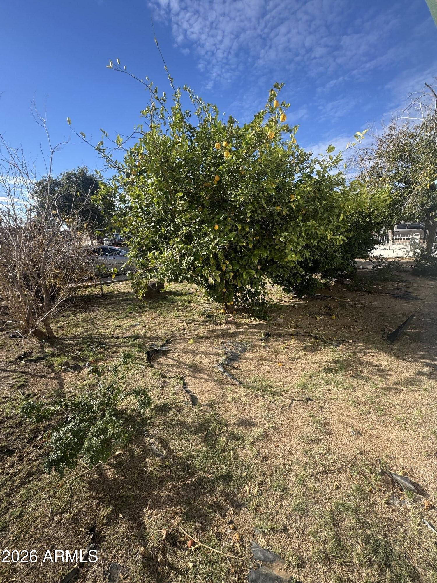 2136 East Lemon Street Tempe, AZ 85281 - Photo 17 of 37 IMG_0208