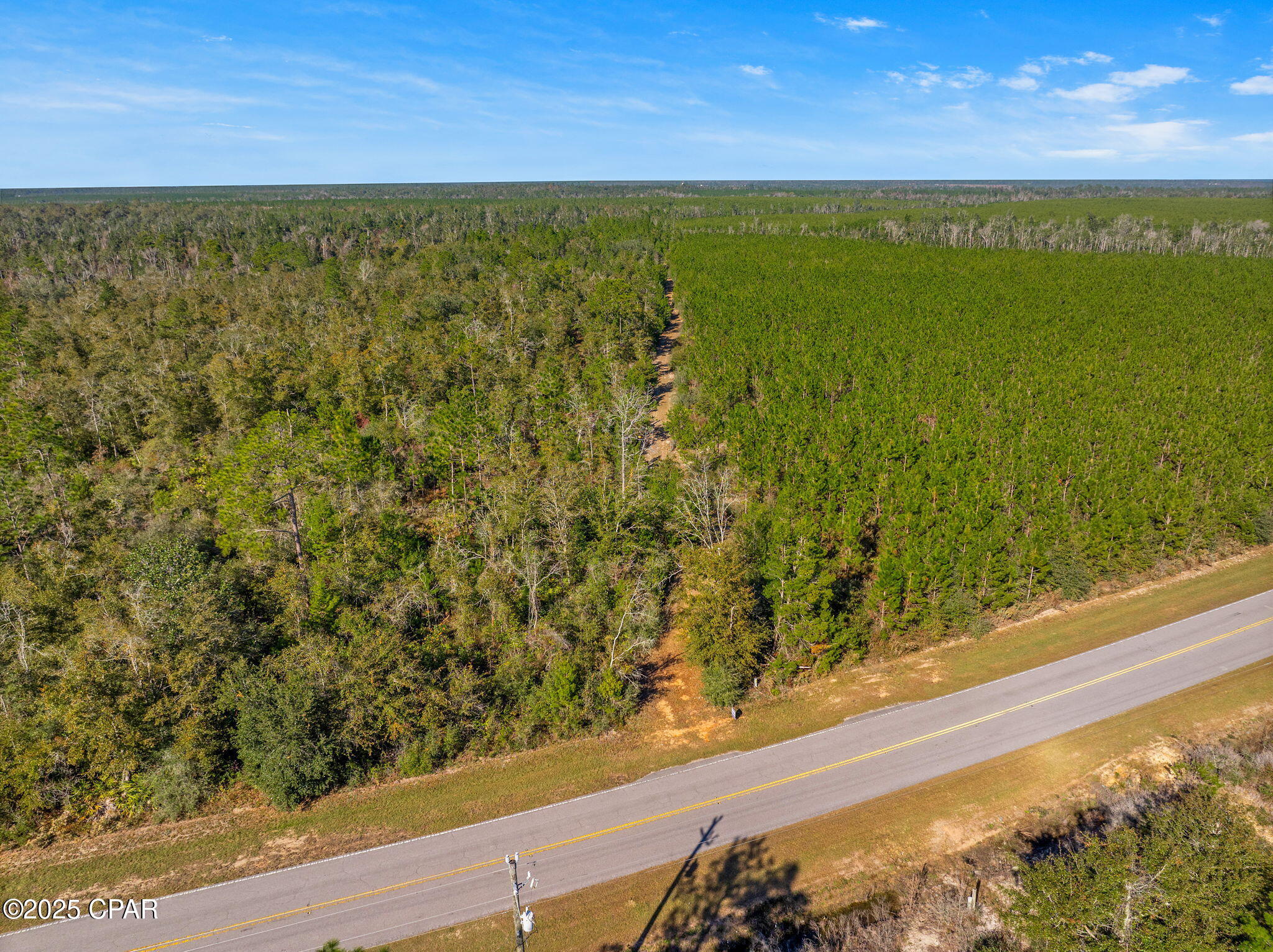 274 Northwest Altha Altha, FL 32421 - Photo 18 of 19