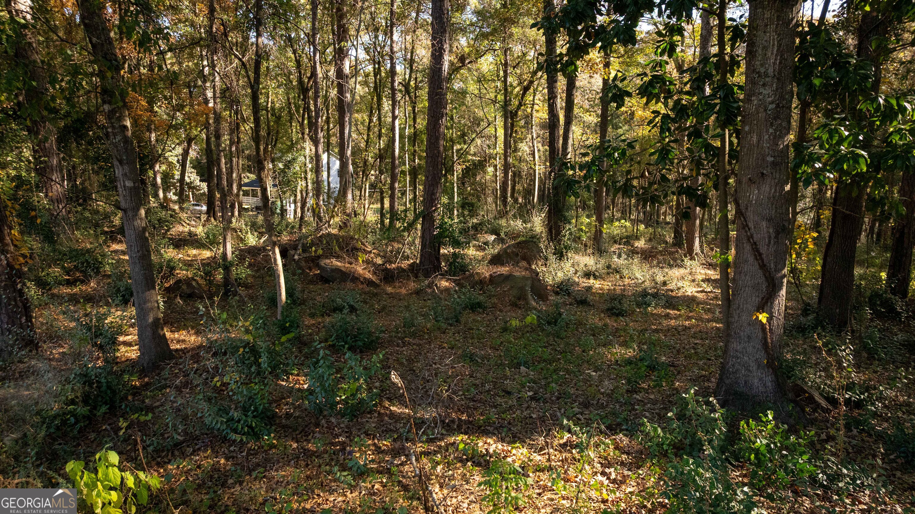 0 Daniel Road Thomaston, GA 30286 - Photo 15 of 19 a view of a yard