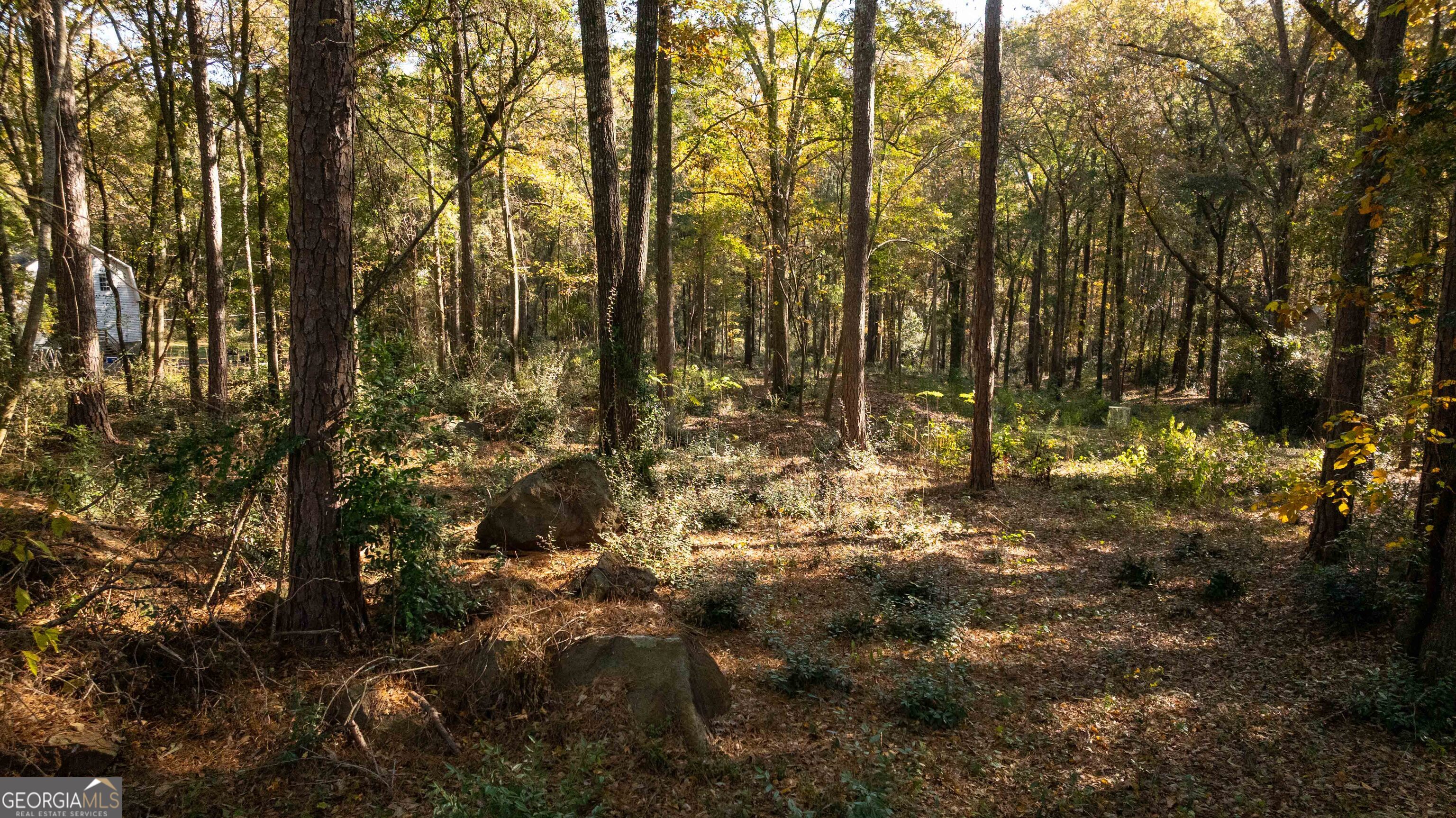 0 Daniel Road Thomaston, GA 30286 - Photo 16 of 19 a view of outdoor space and trees