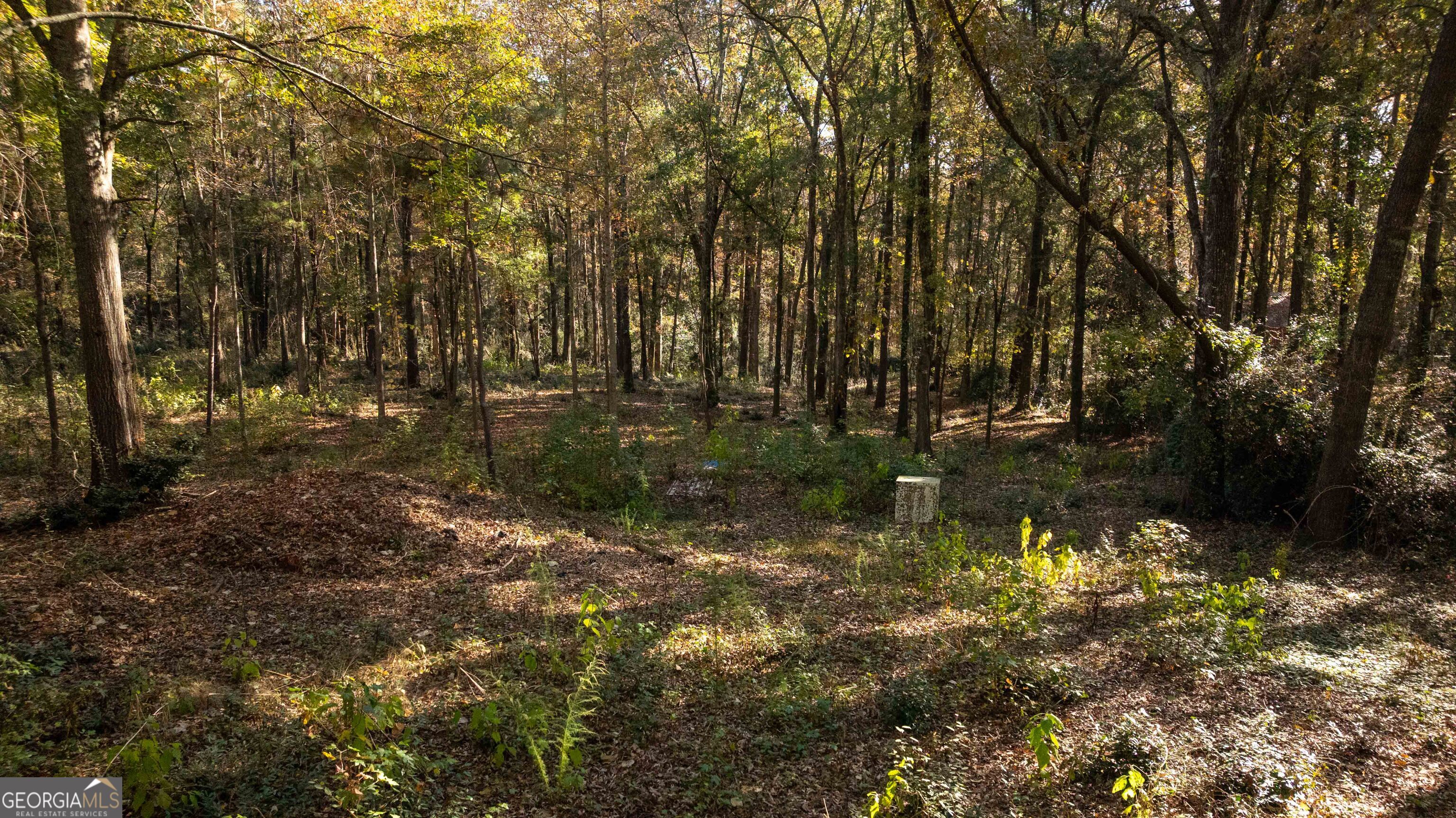 0 Daniel Road Thomaston, GA 30286 - Photo 17 of 19 a backyard of a house with lots of green space