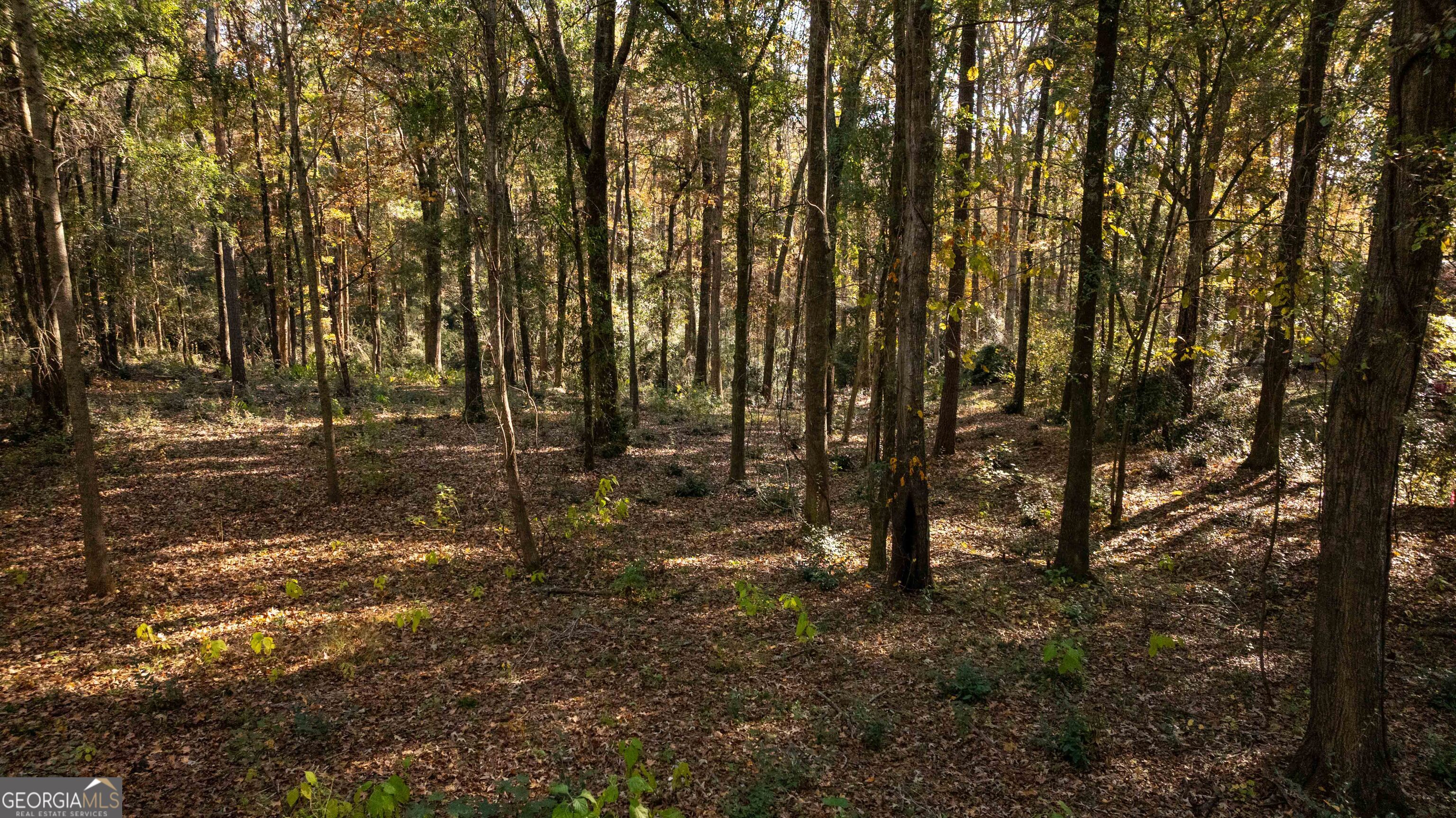 0 Daniel Road Thomaston, GA 30286 - Photo 18 of 19 a view of outdoor space with lots of trees