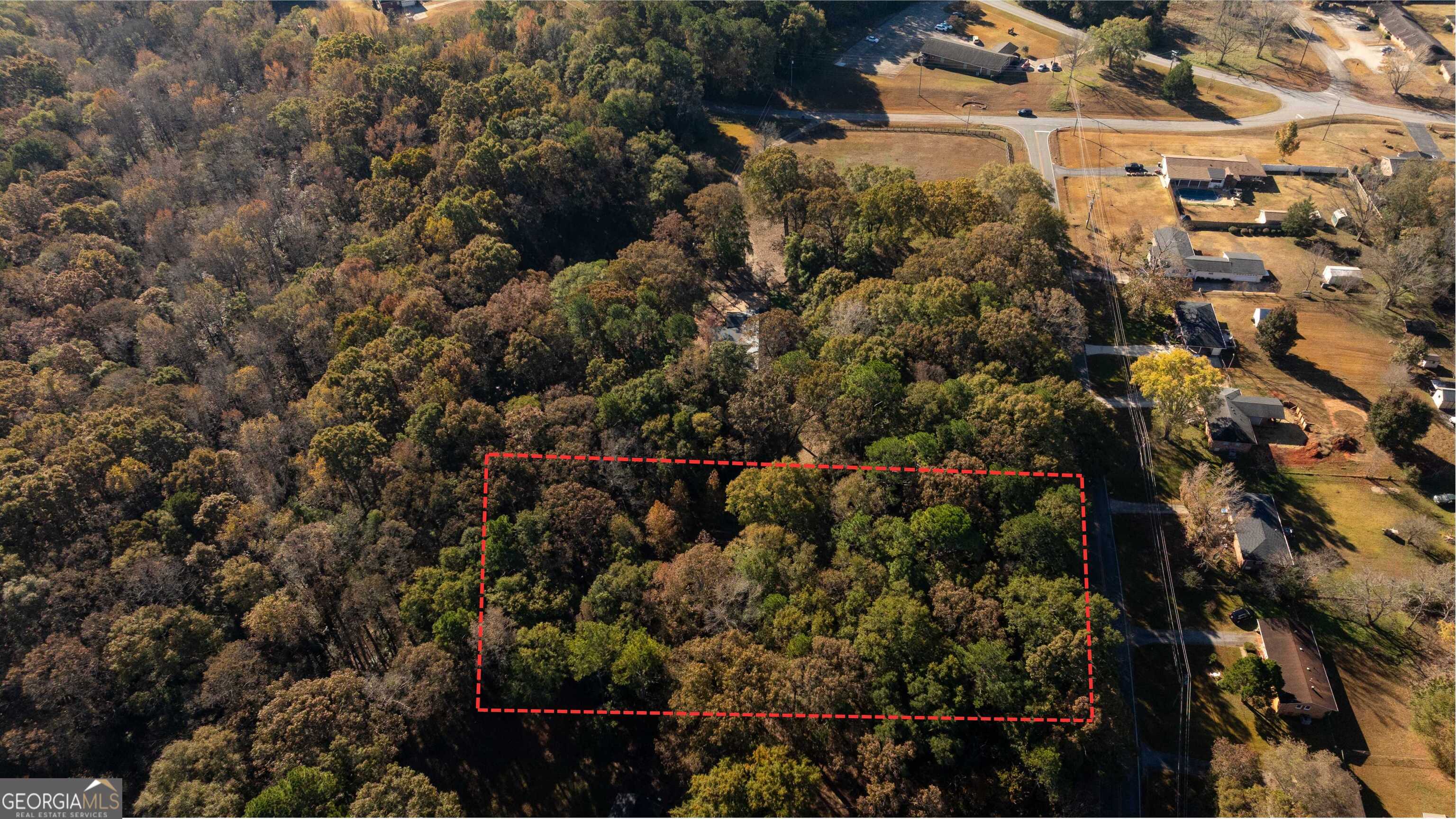 0 Daniel Road Thomaston, GA 30286 - Photo 3 of 19