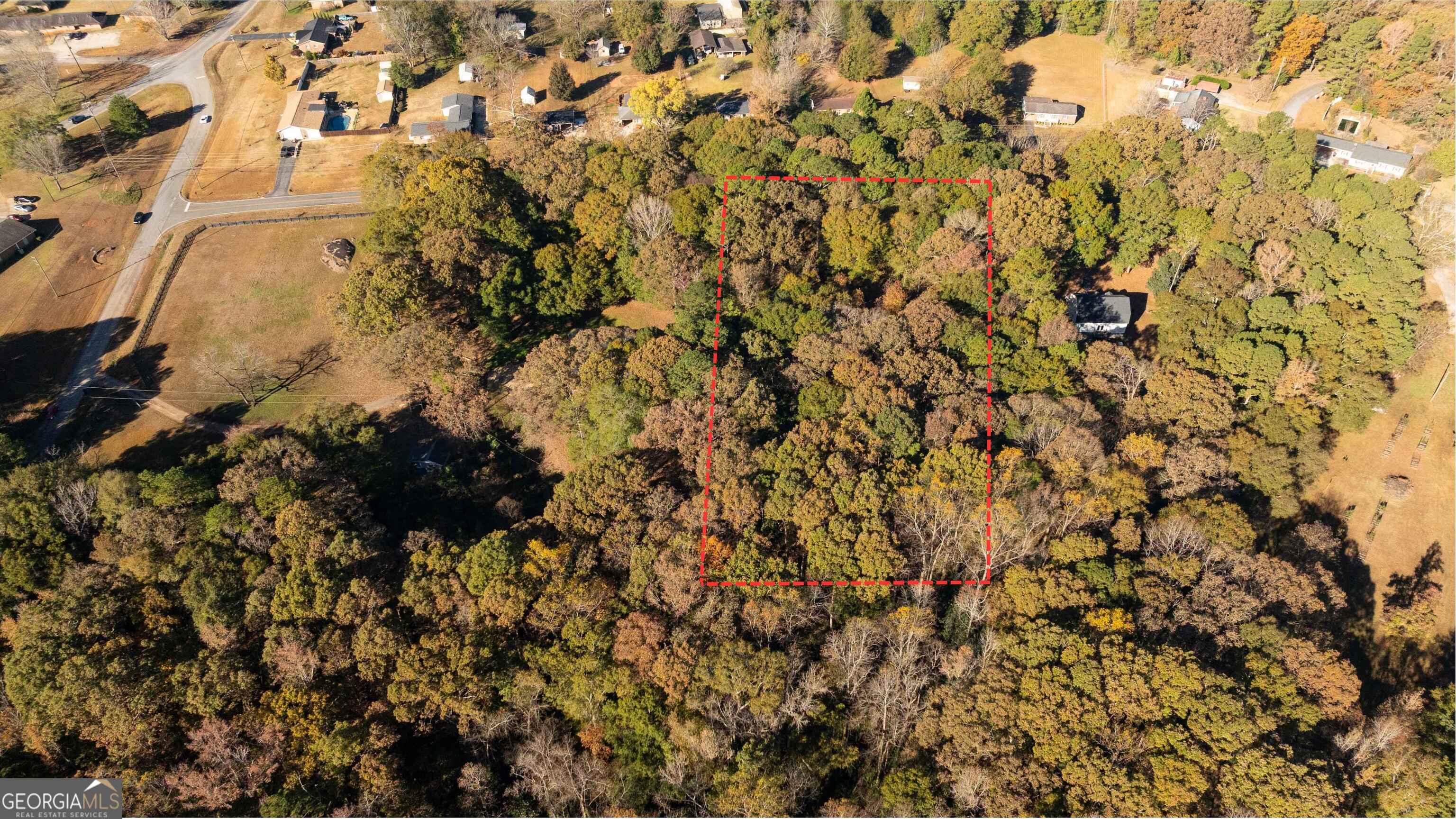 0 Daniel Road Thomaston, GA 30286 - Photo 5 of 19 a picture of a tree