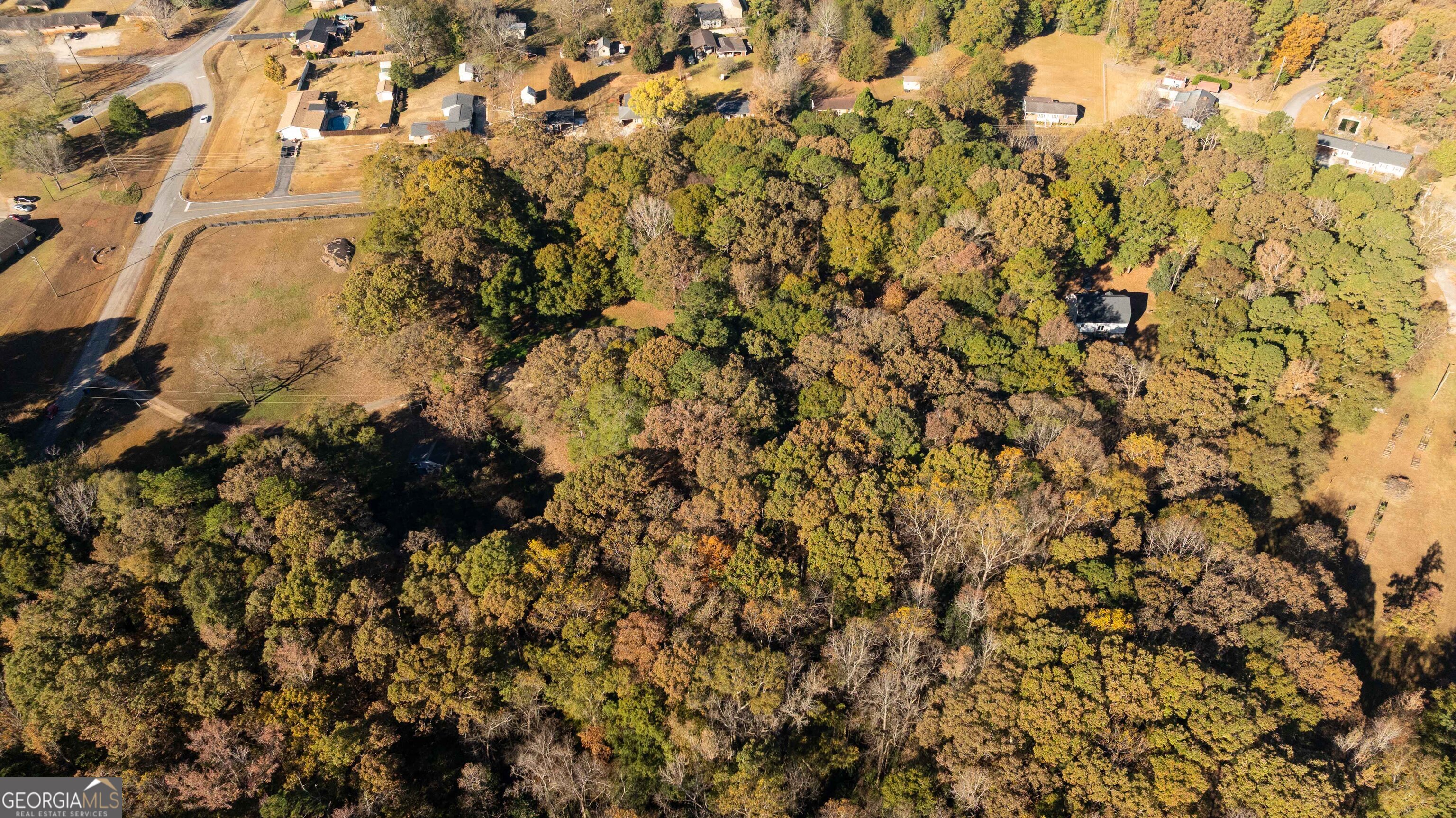 0 Daniel Road Thomaston, GA 30286 - Photo 6 of 19 a picture of a tree