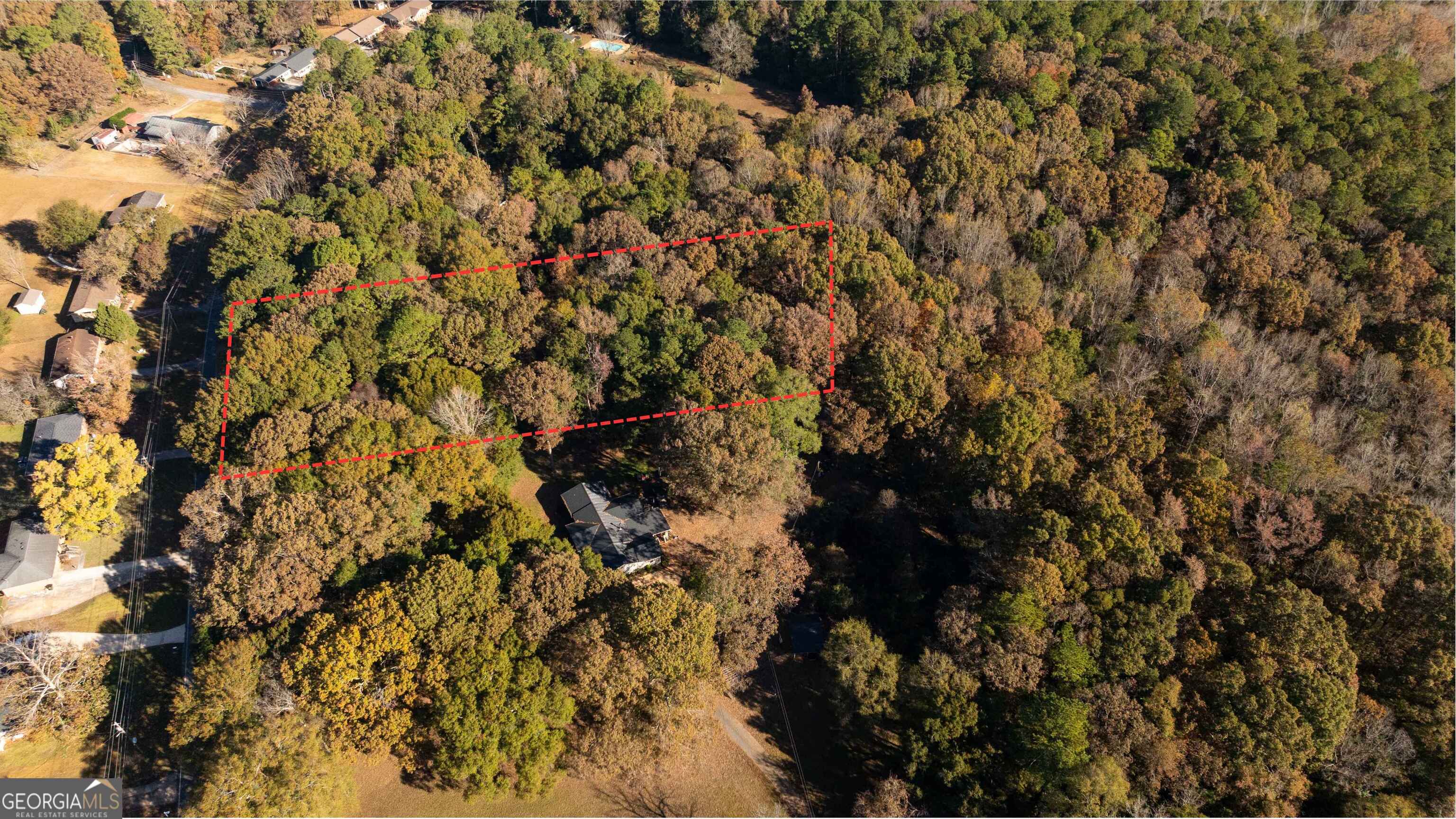 0 Daniel Road Thomaston, GA 30286 - Photo 7 of 19 a view of a tree