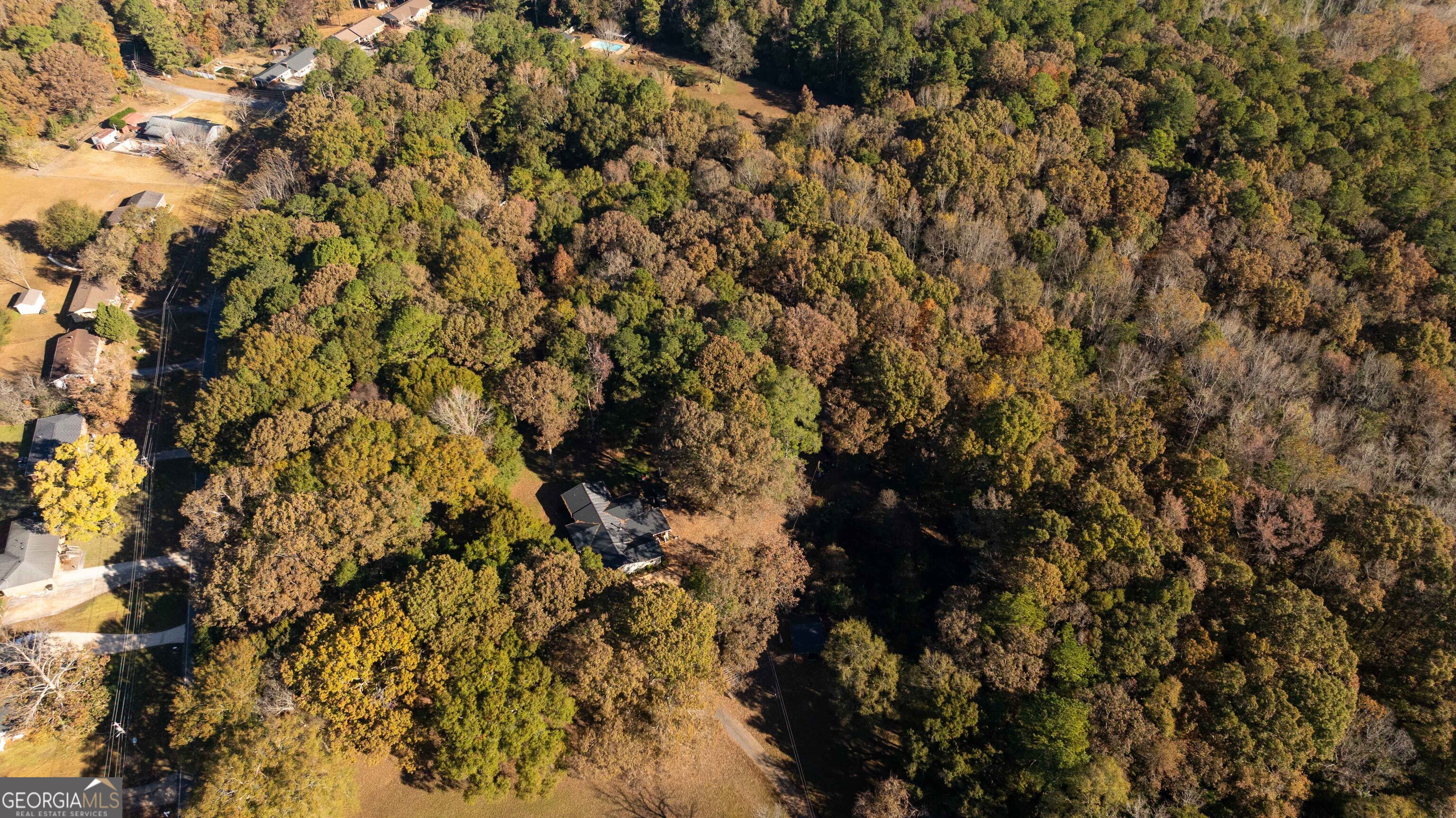 0 Daniel Road Thomaston, GA 30286 - Photo 8 of 19 a view of a tree