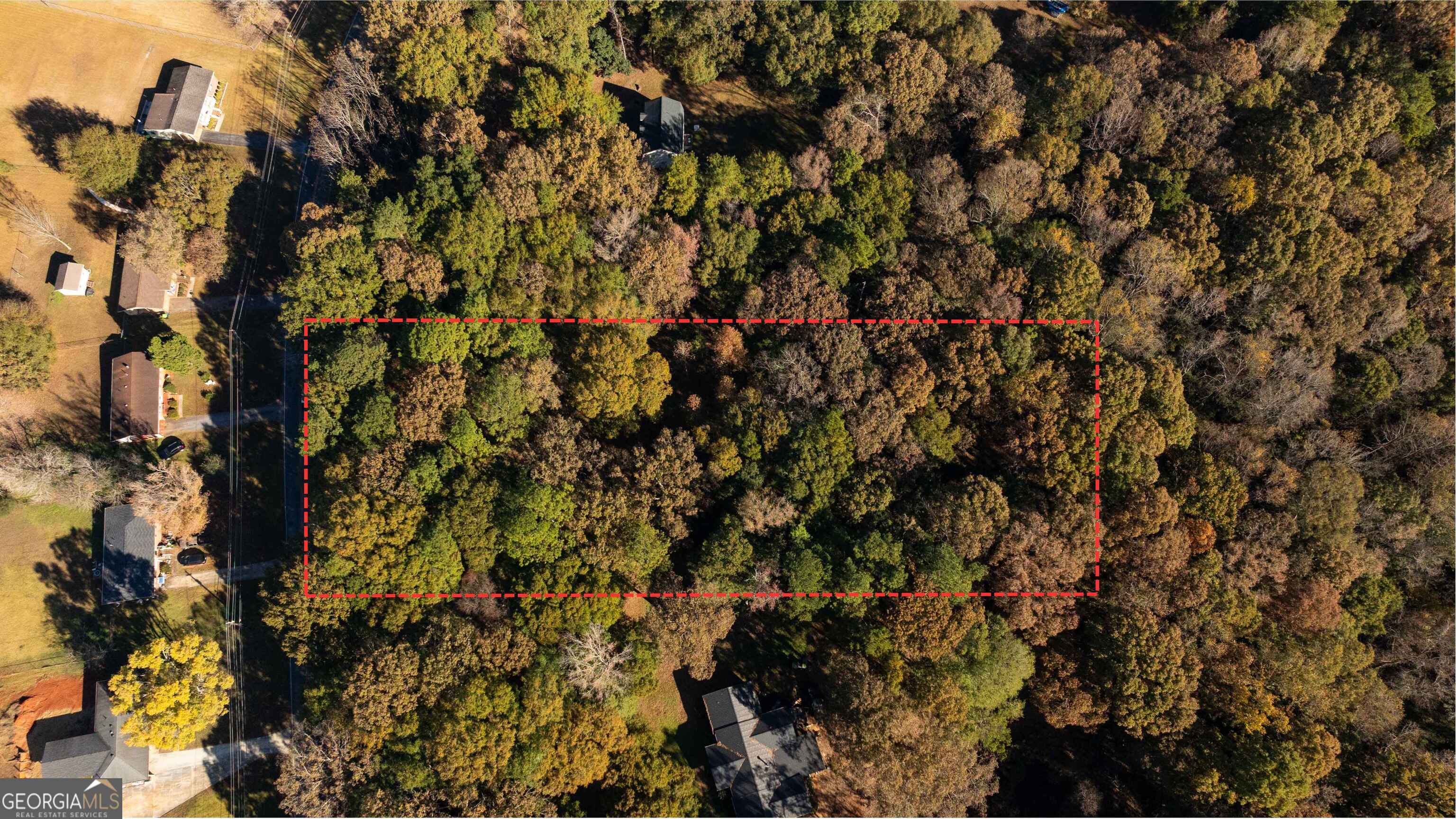 0 Daniel Road Thomaston, GA 30286 - Photo 9 of 19 a view of a tree