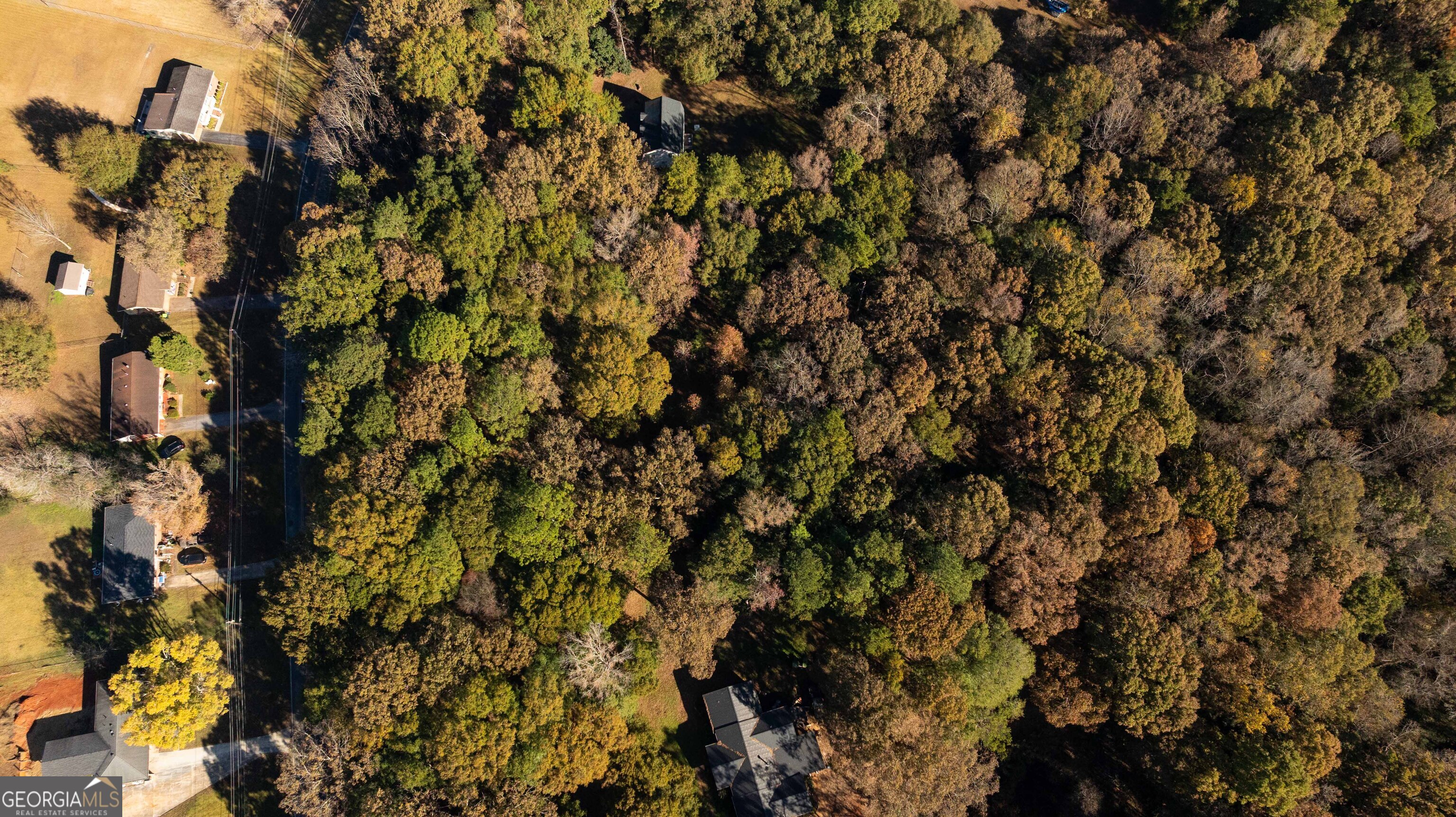 0 Daniel Road Thomaston, GA 30286 - Photo 10 of 19 a view of a tree