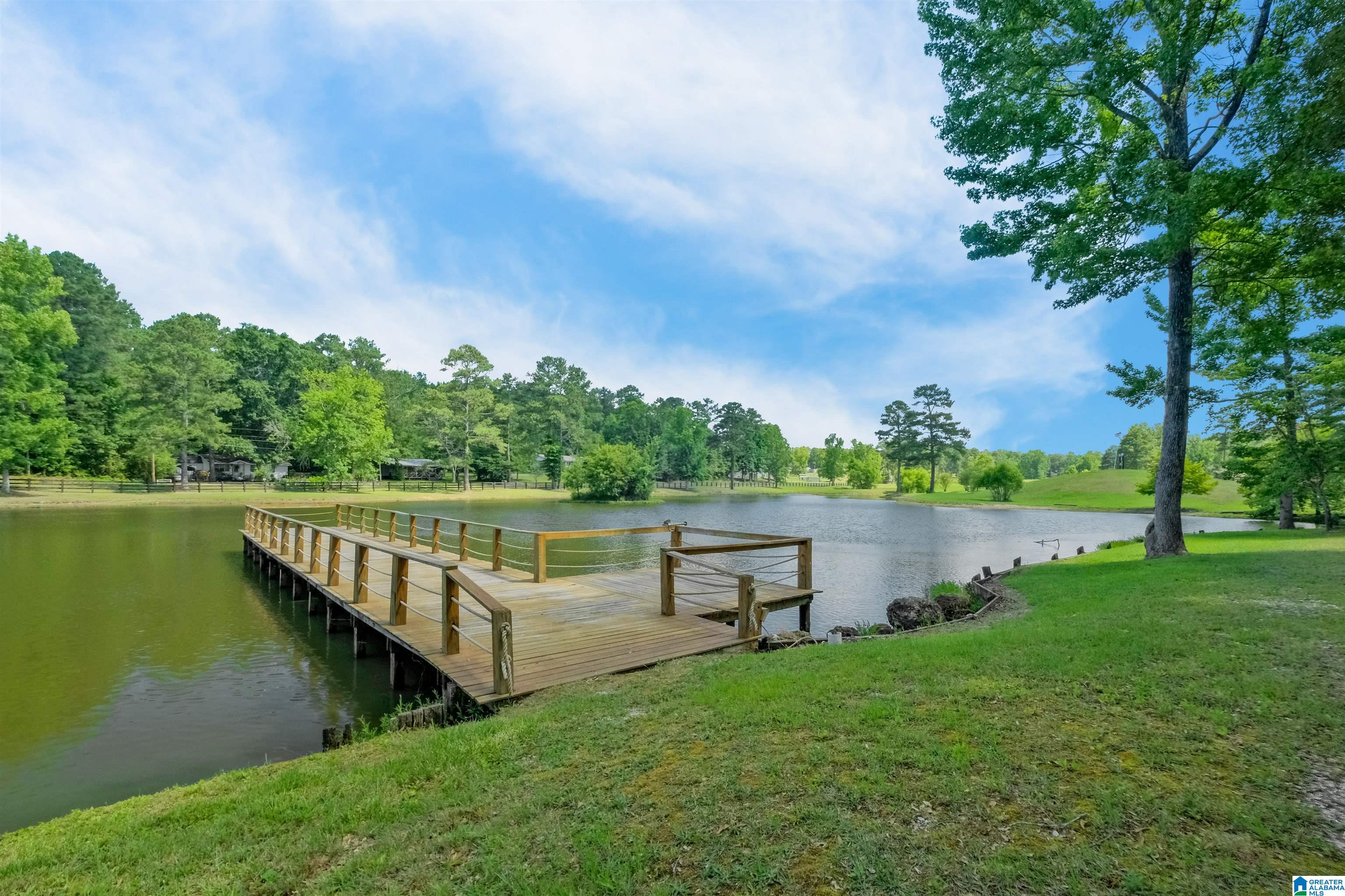 7146 Dry Creek Road Pell City, AL 35128 - Photo 91 of 100
