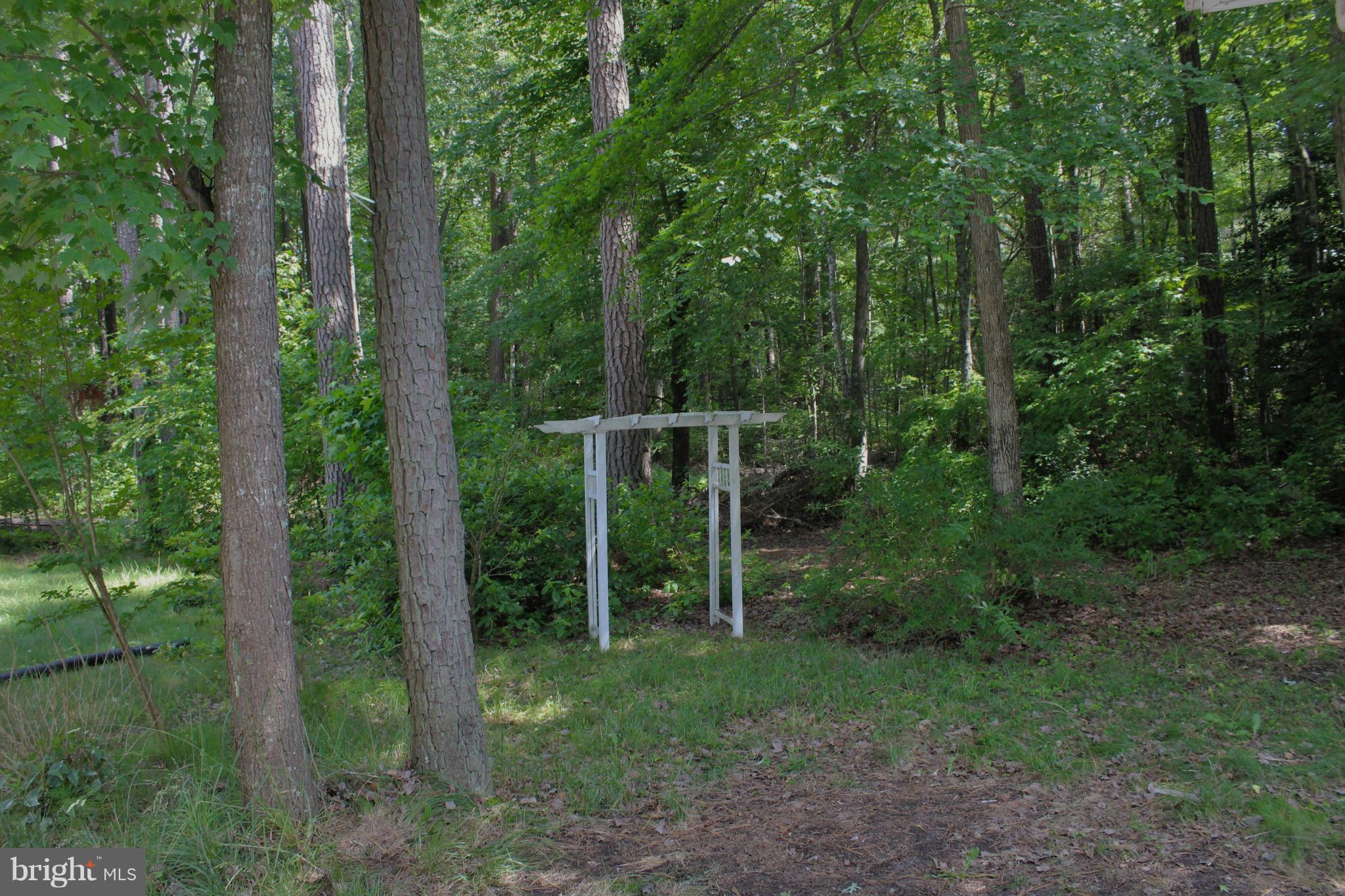 246 Windjammer Road Ocean Pines, MD 21811 - Photo 29 of 30 a view of an outdoor space and trees