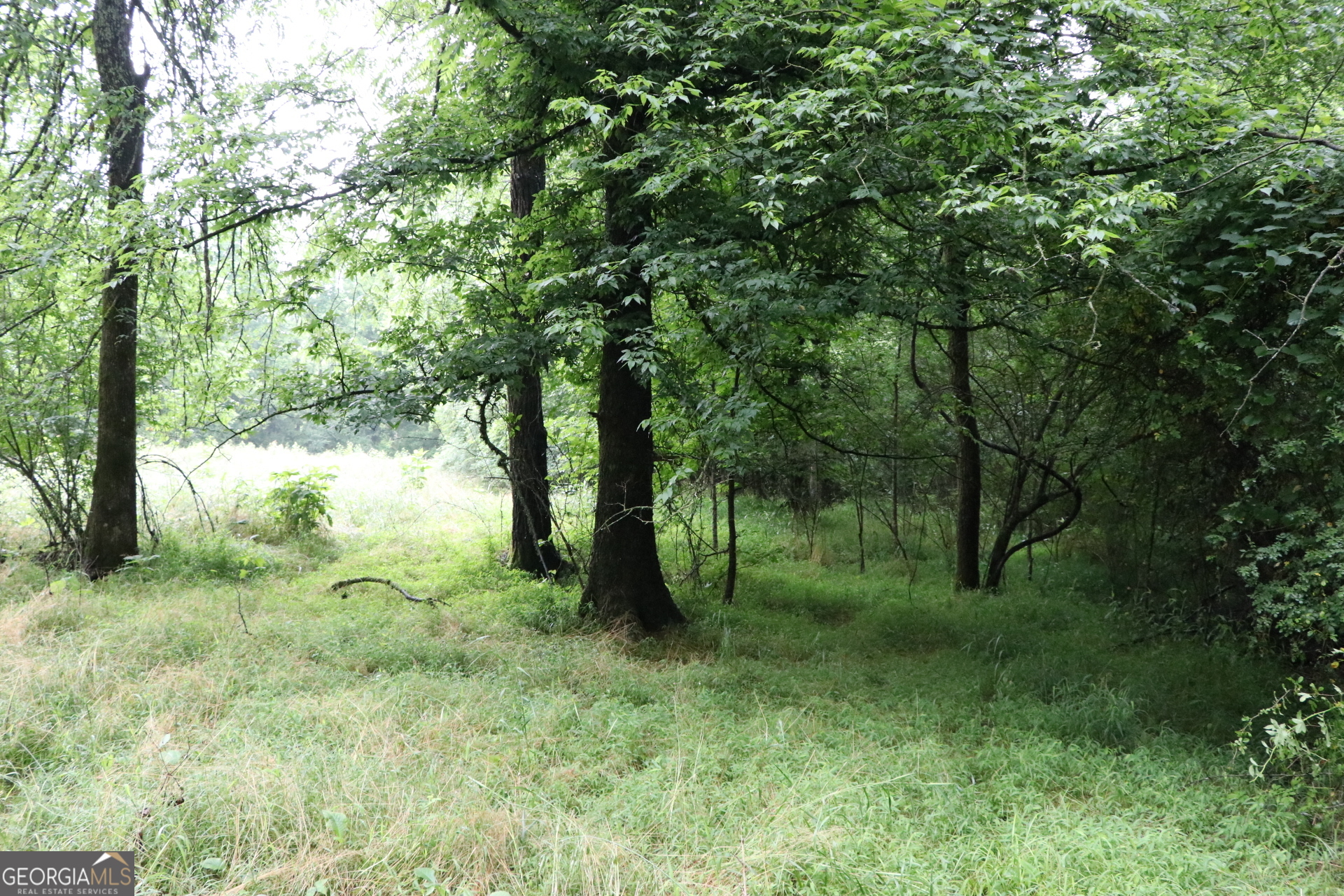 833 Neal Gap Road Summerville, GA 30747 - Photo 26 of 86